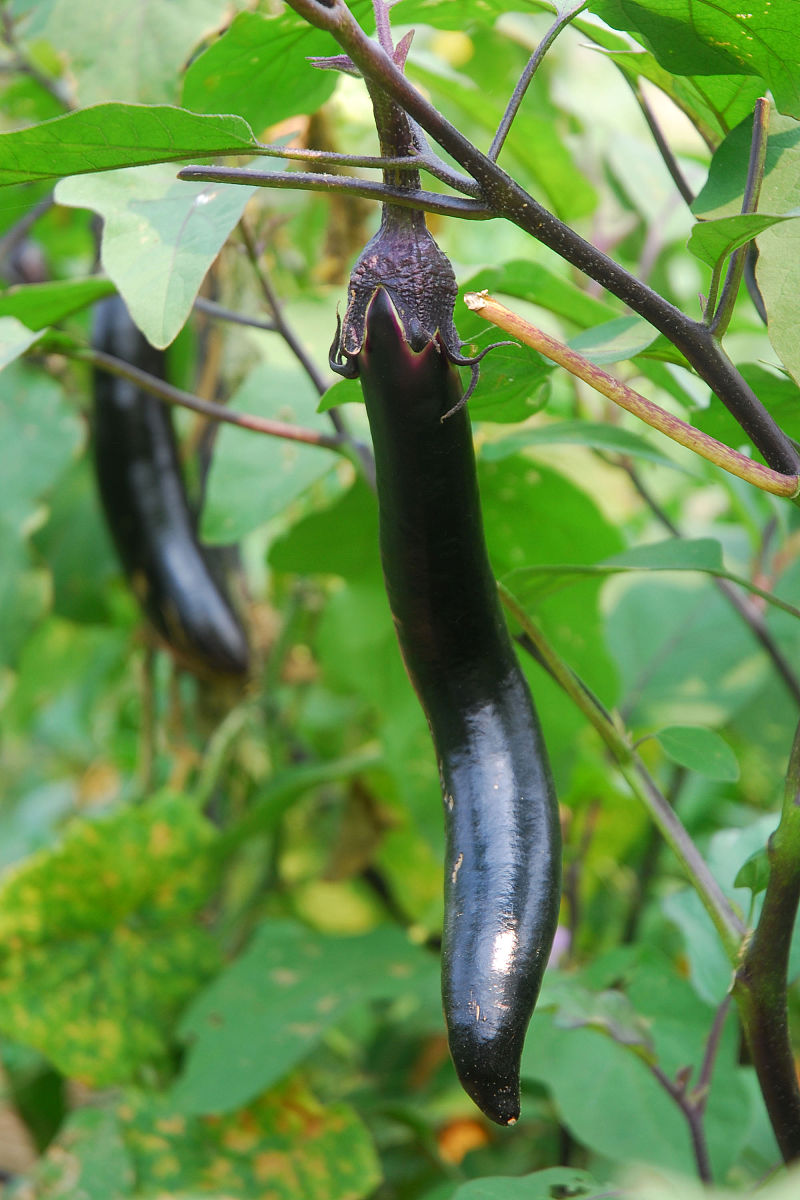 我想在下班做个副业有入门门槛较低的吗网络调查从哪些渠道可以找到