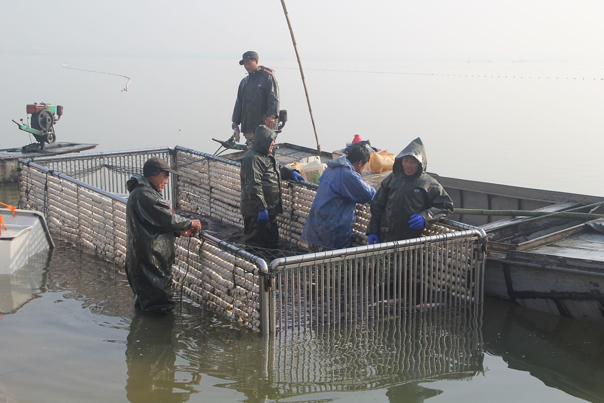 青岛海洋高级技工学校水产养殖专业怎么样？就业前景如何？