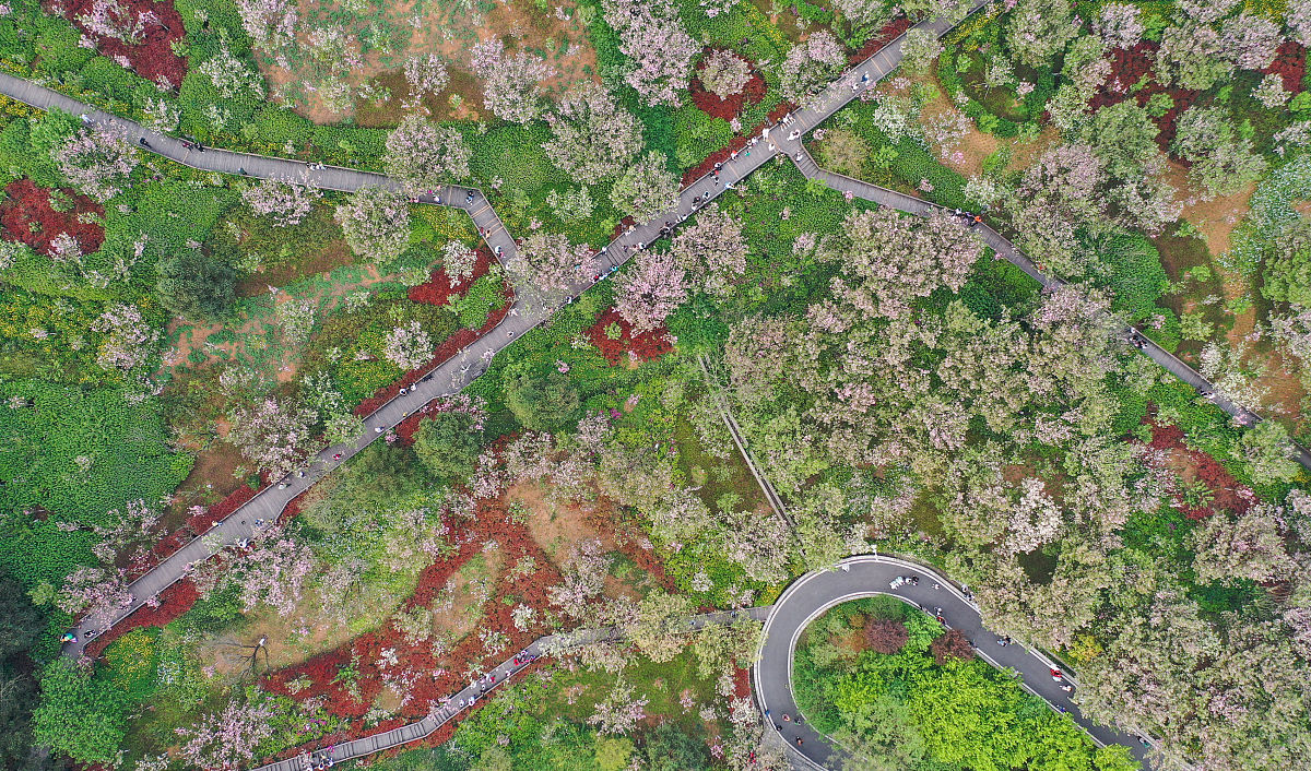 黔西南州机电职业技术学校2021年招生简章 - 培养机电技术人才的摇篮