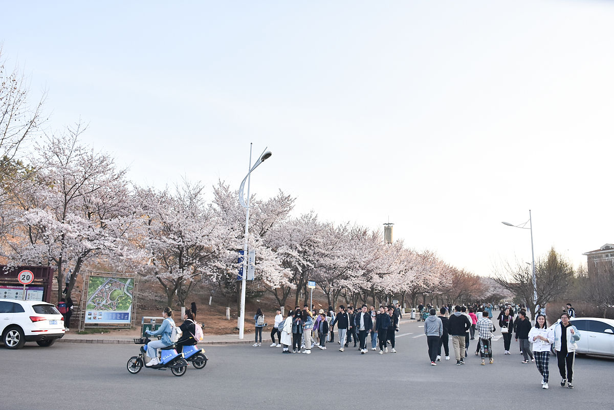 山东工程职业技术大学物联网应用技术专业课程介绍：包含哪些课程内容？