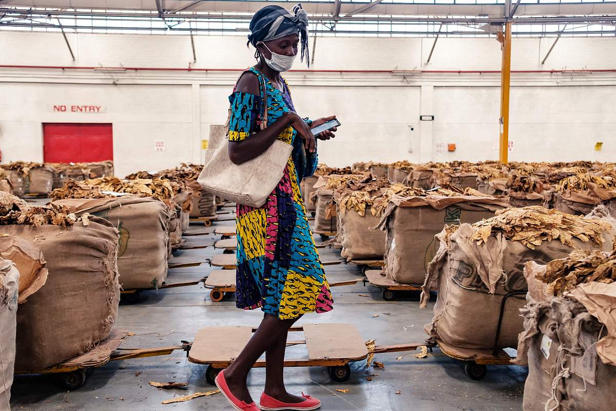 烟草销售总结：稳定增长，渠道拓宽，产品优化