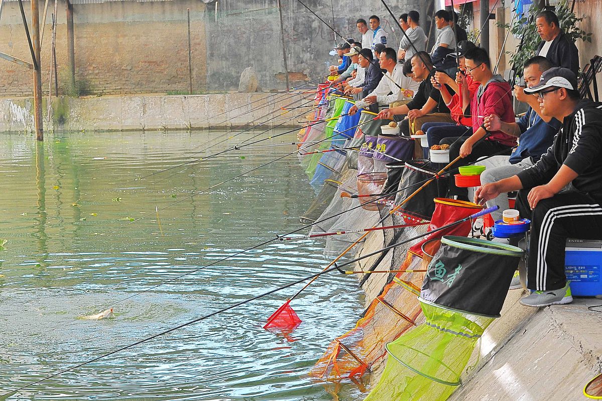 扩写以下句子：小鬼继续往白岱市的方向前进没过几天眼前便出现了一个水池。宽阔的池面上横跨着宽敞的桥梁有几个中年大叔正在桥上悠闲地放线垂钓。当小鬼走近时看到其中一位大叔身旁的桶里正有一只鲤鱼王正在欢快的扑腾着看样子才刚钓上来不久。