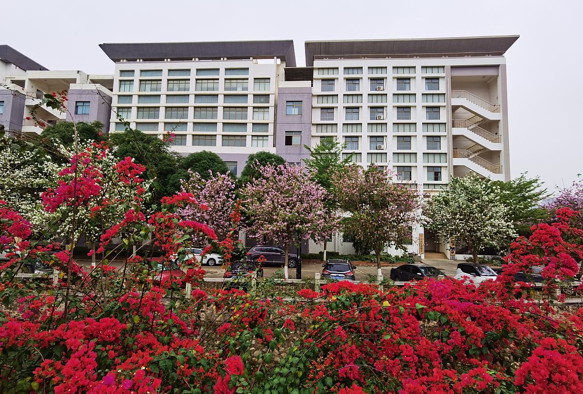 广西大学行健文理学院自动化专业怎么样