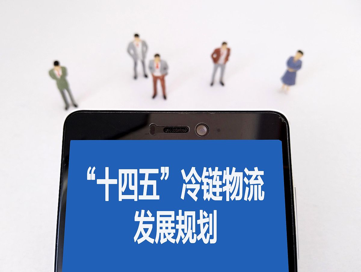 中国食品冷链物流发展现状分析及发展策略