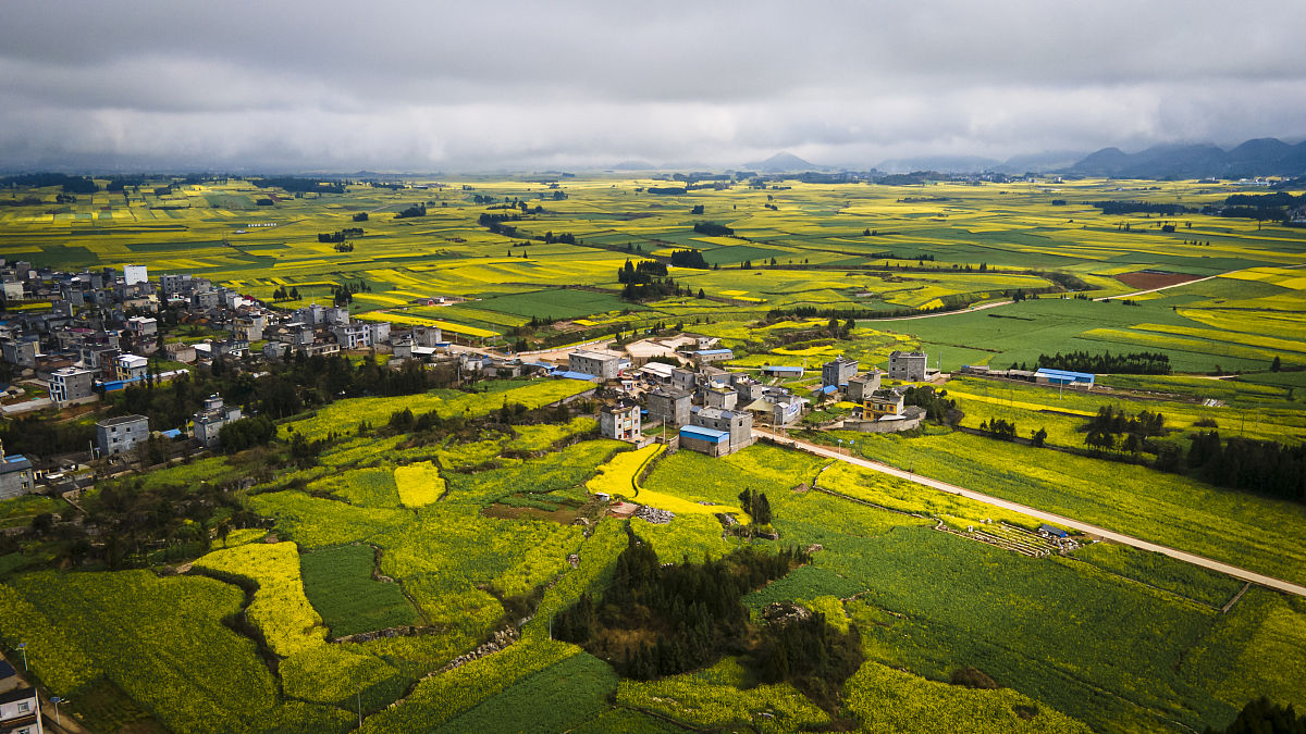 云南冶金高级技工学校2022年录取分数线