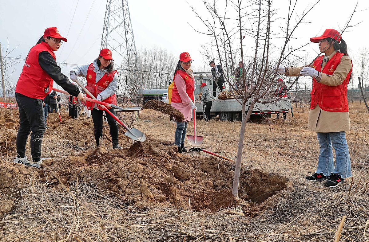 秦皇岛2022年卫校哪个好用