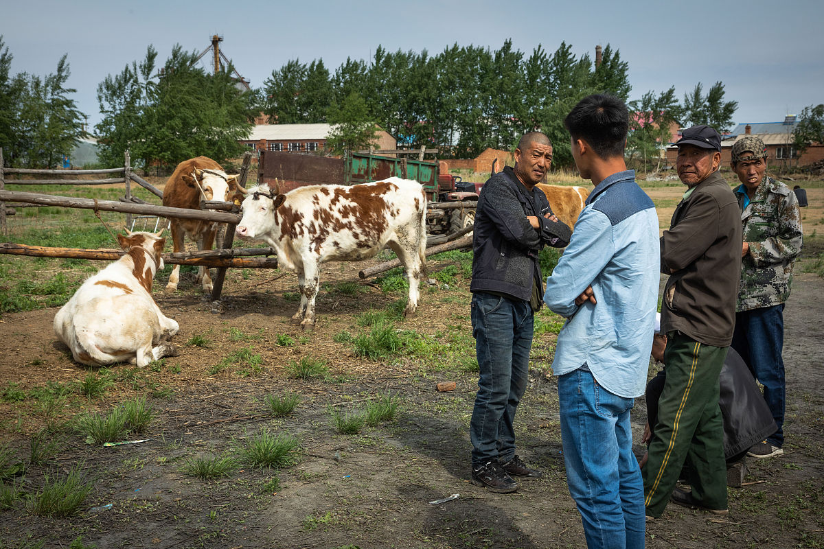 为论文延安市育肥牛养殖存在的问题及对策分析写三段话的绪论不少于500字。