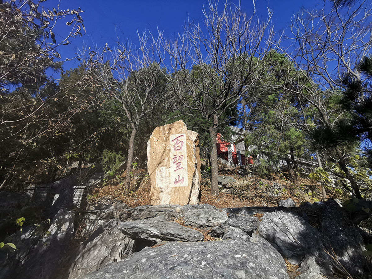 百望山之行：勇敢与坚持的感悟