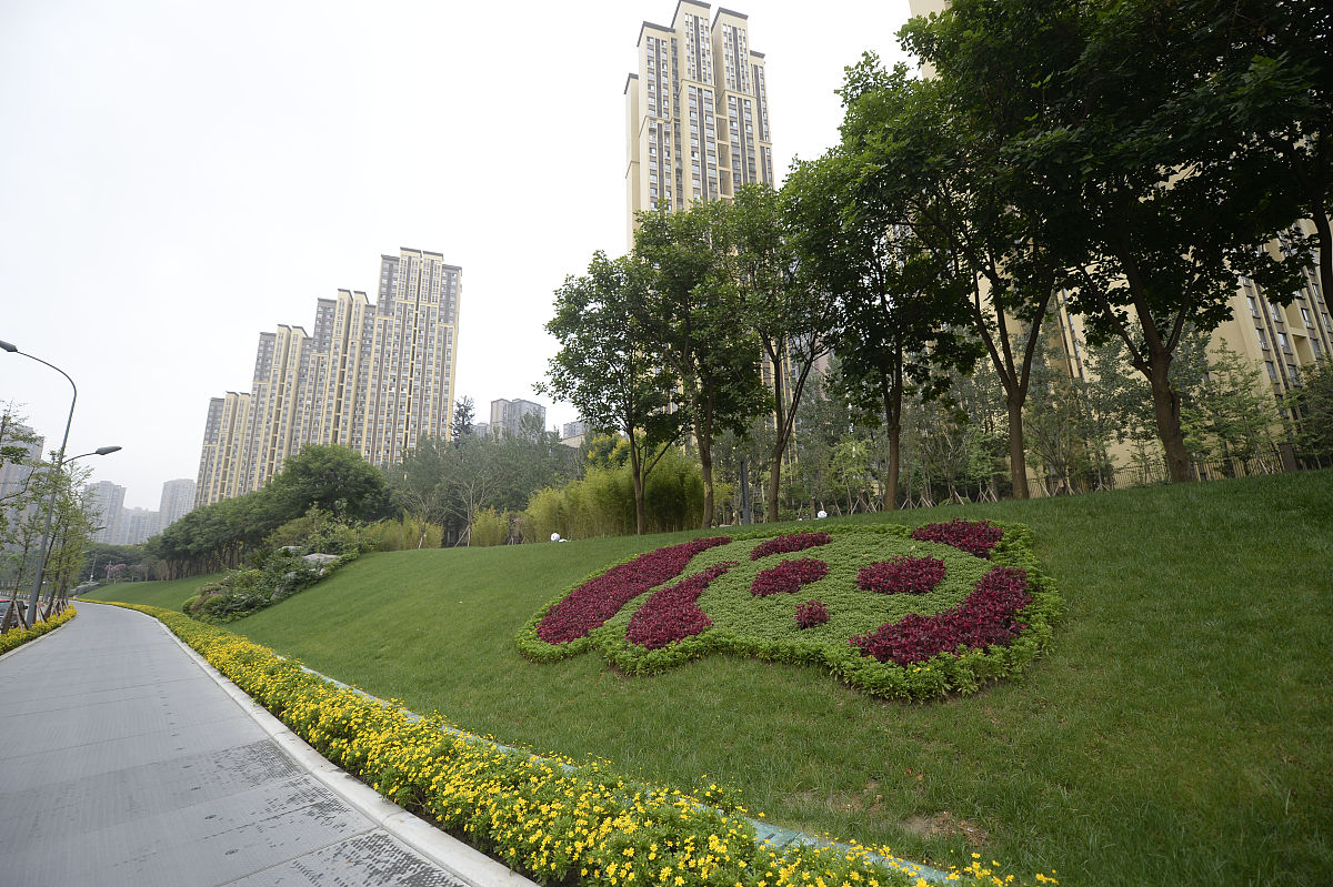 关于西安东三环路绿化植物配置中存在道路绿化设计缺乏科学性规范性的问题不少于600字。