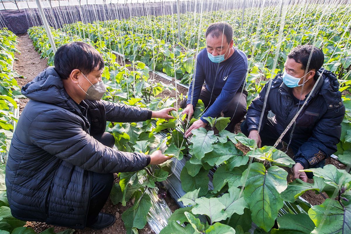 贞丰县职业技术学校现代农艺技术专业2022年招生