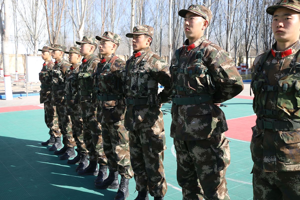 追求真理：我的哲学理想 - 探索人生意义的旅程