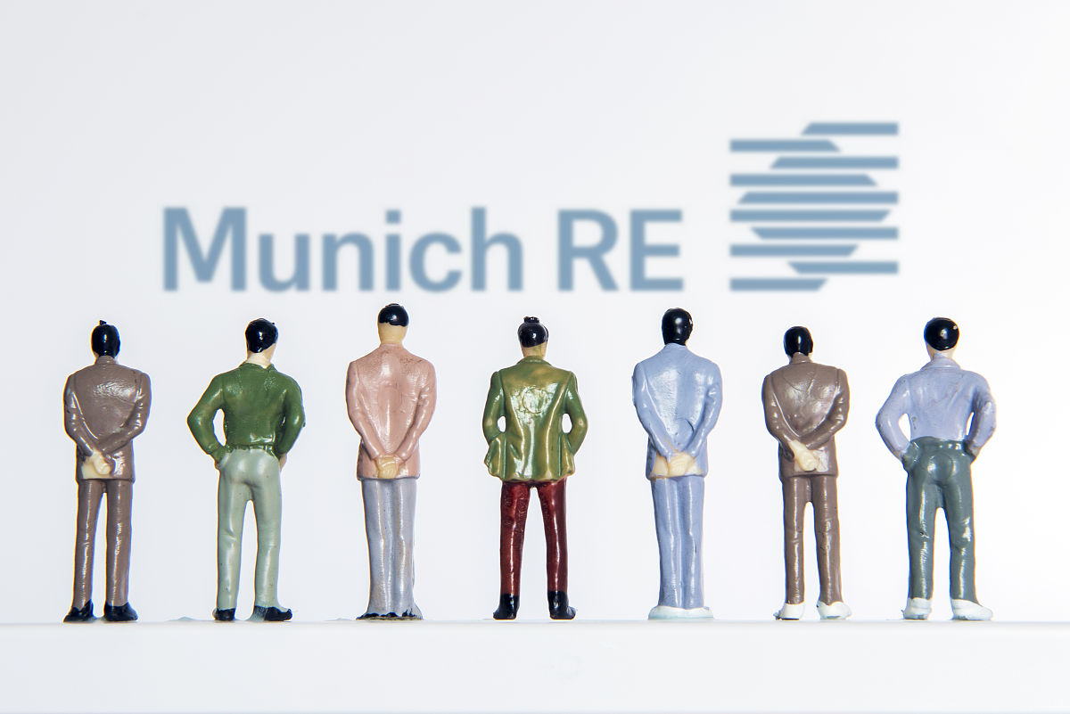 慕尼黑再保险分出保费查询指南