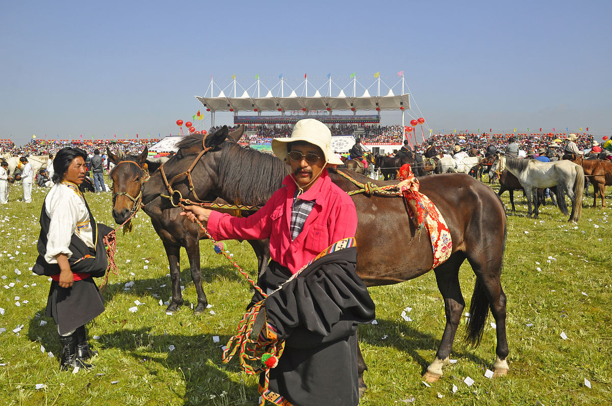黄河护卫队队名征集：响亮、有意义、令人受益匪浅
