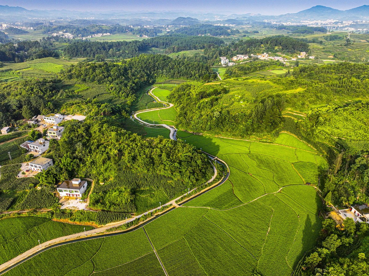 生态康养旅游产品开发三大支柱：自然、市场与社会环境分析