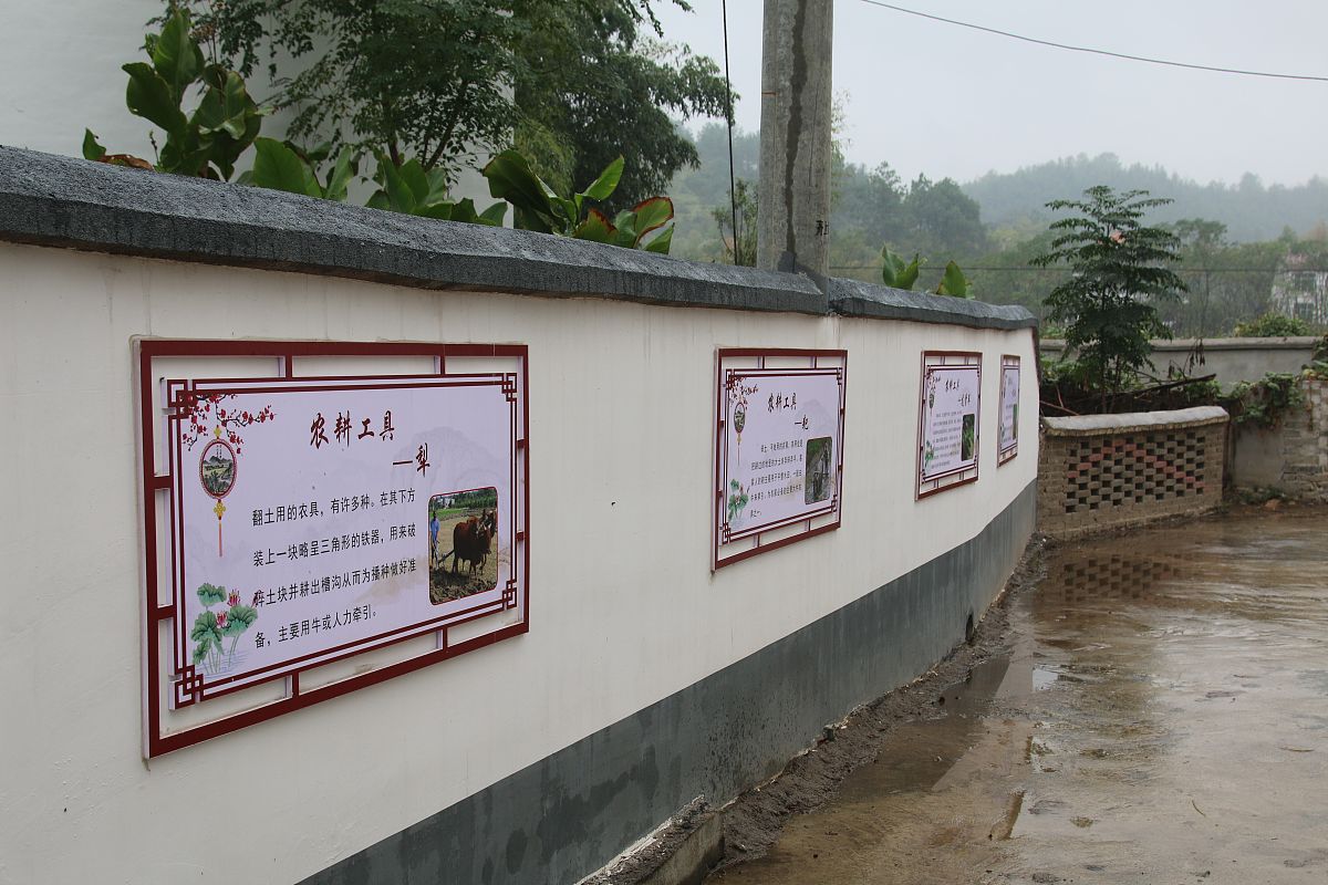 乡村文化发展弊端: 是振兴还是负担？