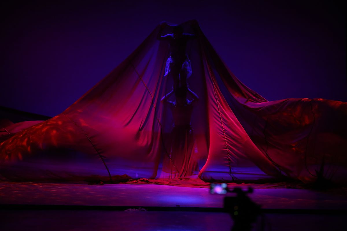 成都哪些职业学校有升学通道升大专、本科