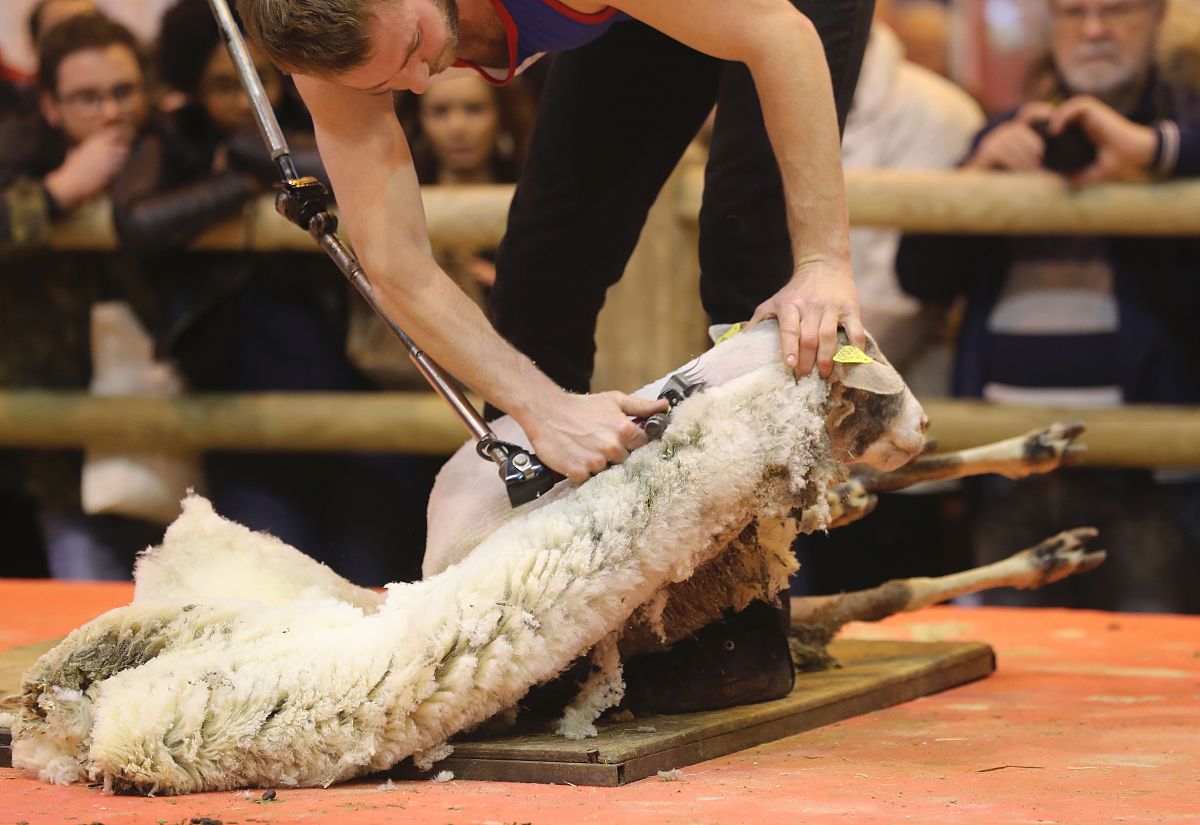 荆州现代农业高级技工学校3+2热门专业有哪些？