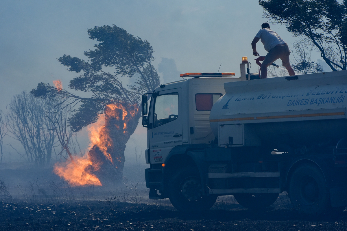 请描写一下在一座森林深处一辆小车的实验基地车开了进来停在了一座垃圾山面前然后从车上下来五个实验人员