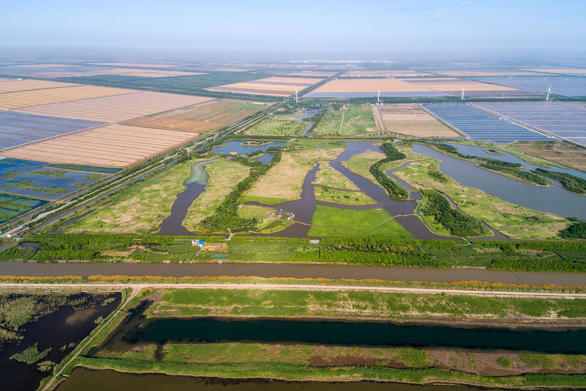 上海崇明东滩自然保护区生态修复绩效评价与社会效益优化研究