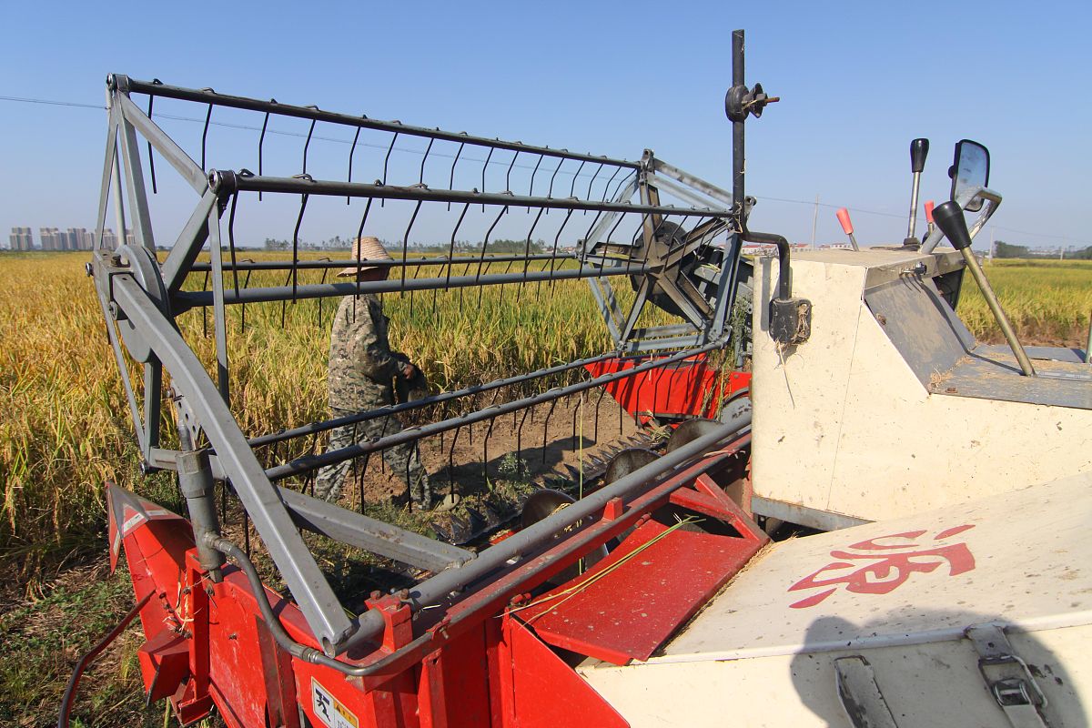 390喷播机市场价格