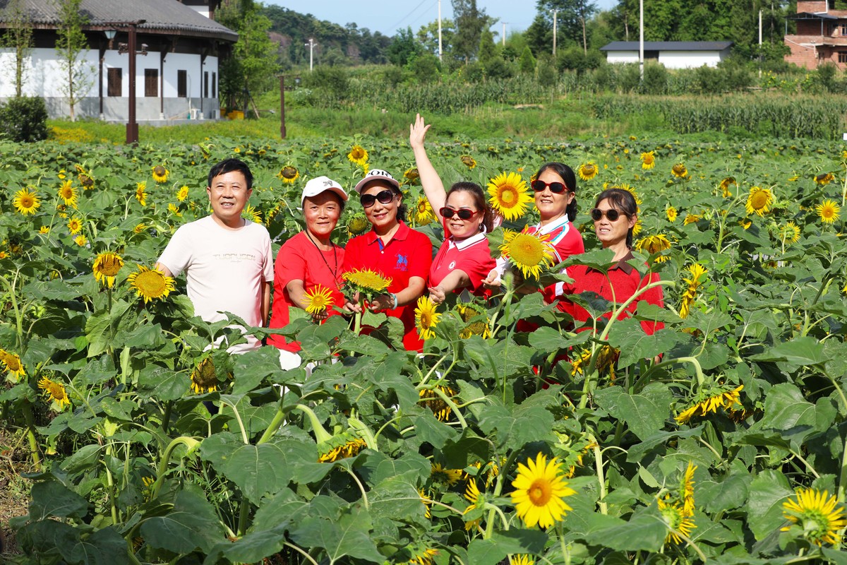 用书面用语说 景区服务有待改善
