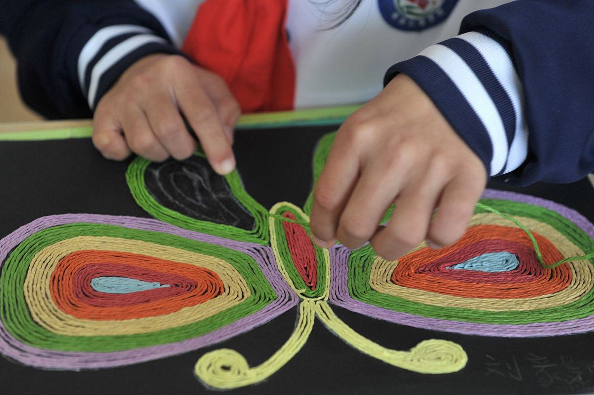 成都公立卫校国家助学金申请指南：流程、材料及使用