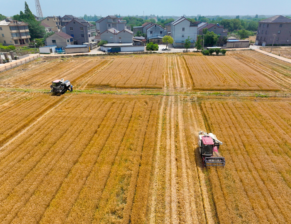 立秋：夏去秋来，丰收的季节
