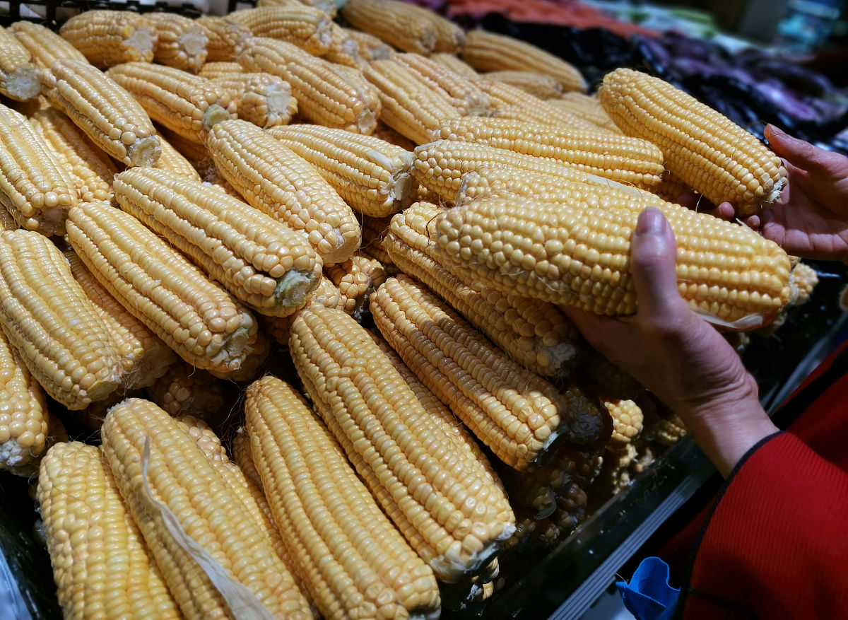 鲜食玉米的消费现状及提升策略：消费者认知不足的原因与解决方法