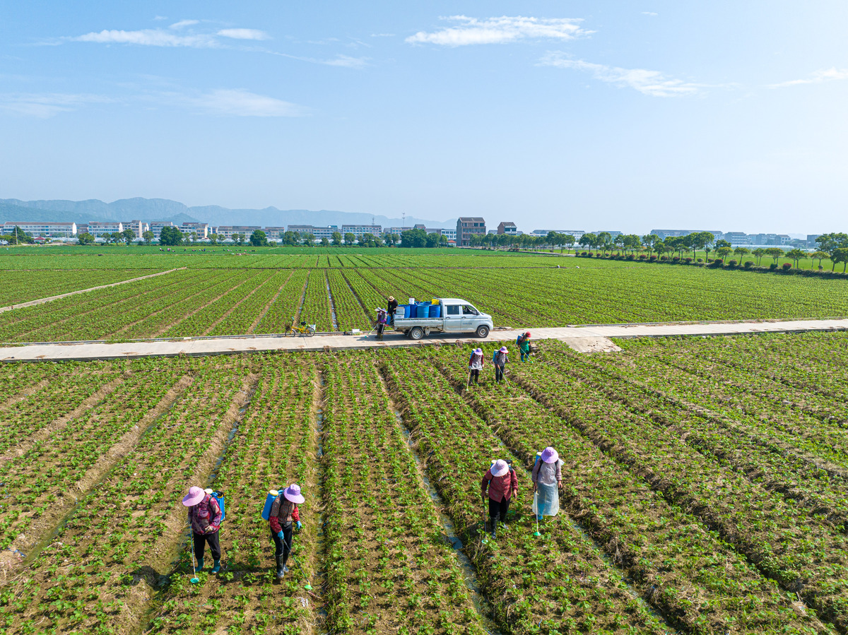 详细介绍推动农业现代化、农村经济发展和农民增收