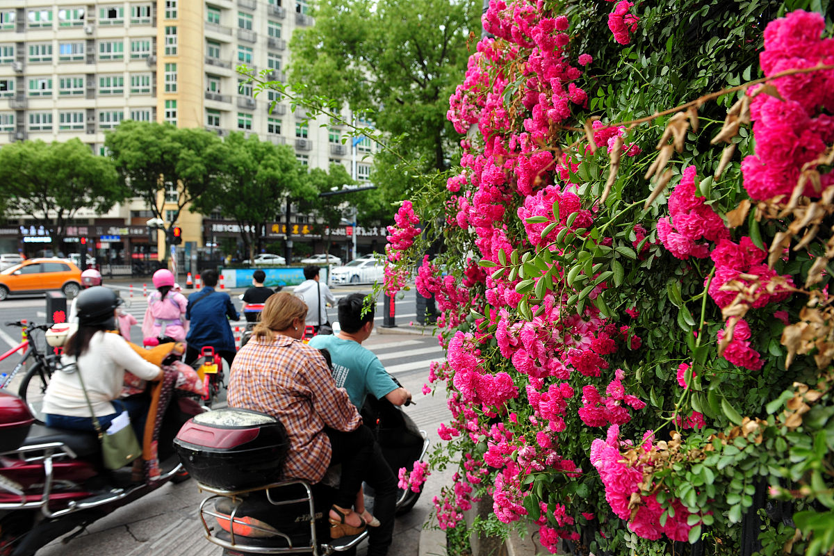 重庆工程职业技术学院地籍测绘与土地管理专业可选择哪些就业方向