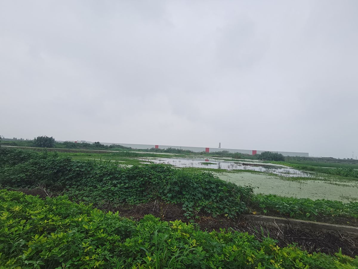 青岛拖欠工资怎么办？维权途径及解决方案全解析