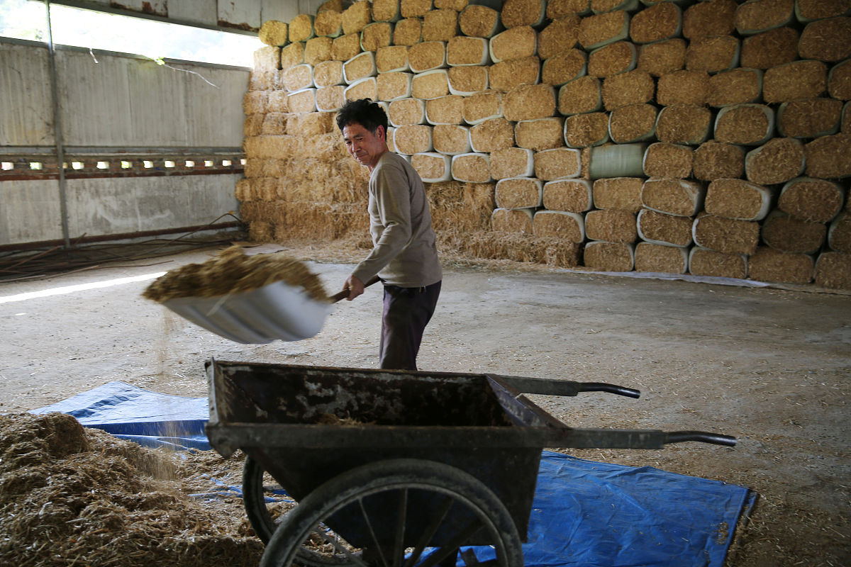 安康育英中等职业学校2021招生简章