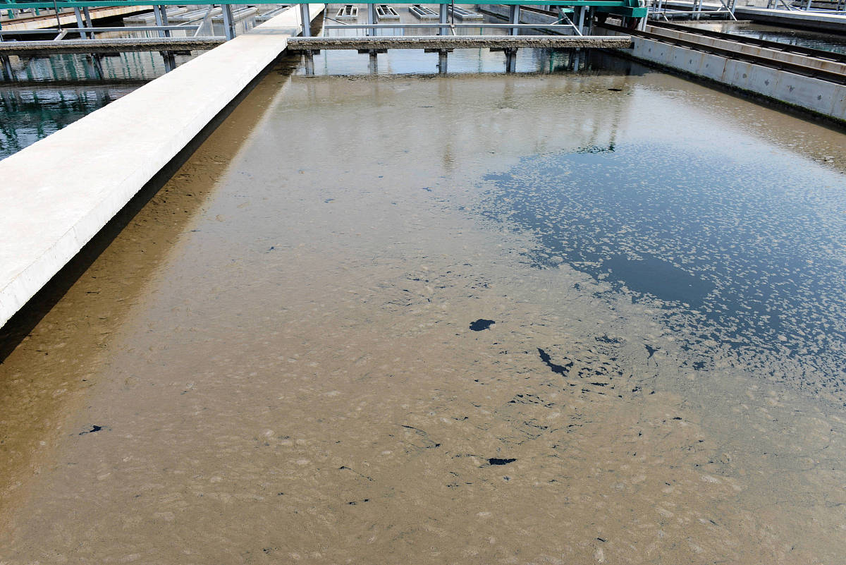 请用自己的理解论述化工厂污水问题和污水处理的研究背景，不能直接抄袭他人观点和概念。