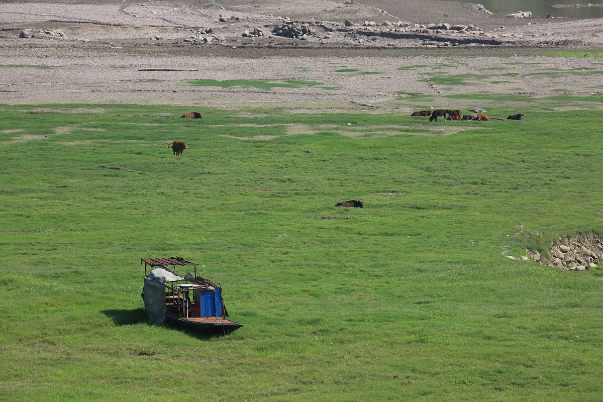 重庆三峡职业学院铁道交通运营管理专业课程设置有哪些