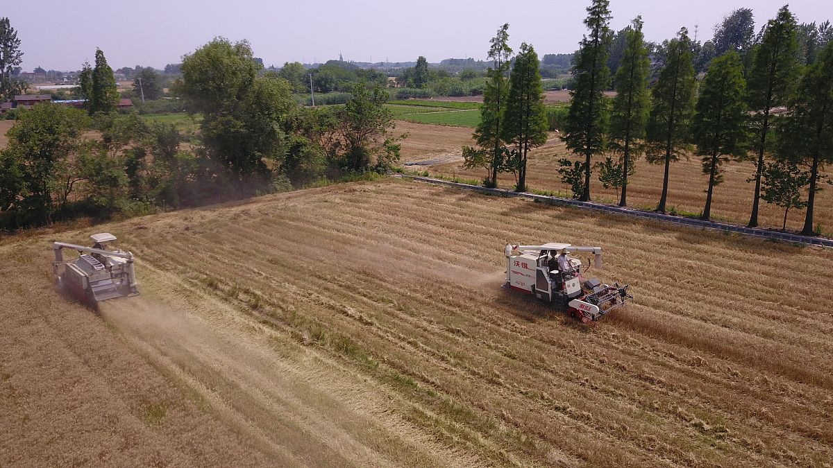 泸西县农业机械化技术学校：培养农业机械化人才的摇篮