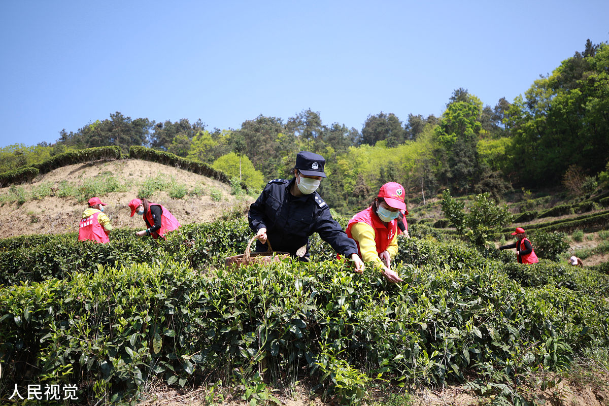 风雨彩虹五周年：逐梦新征程，建功新时代