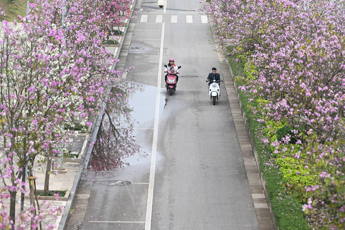 广西城市职业大学财务管理专业优势怎么样发展前景好不好呢