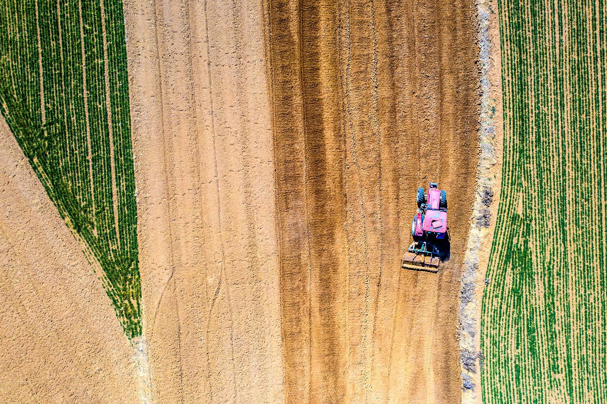 写关于春天的文言文