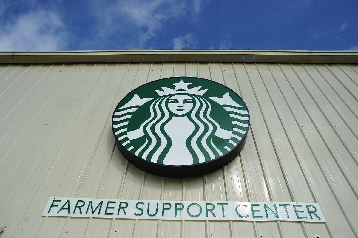 写一个有关某市里普通话普及情况的汇报