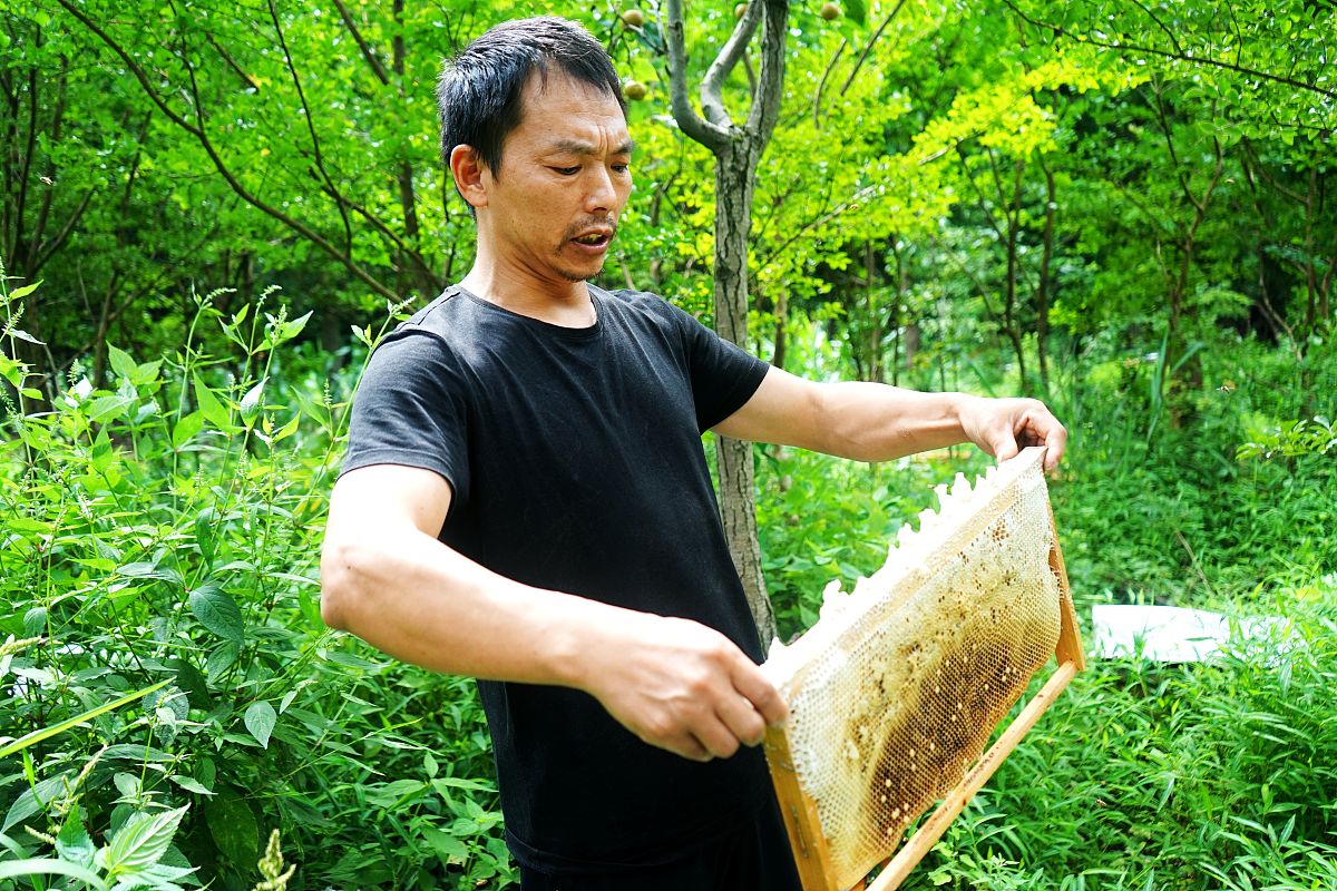 云南省曲靖农业学校2019年五年制招生专业报名