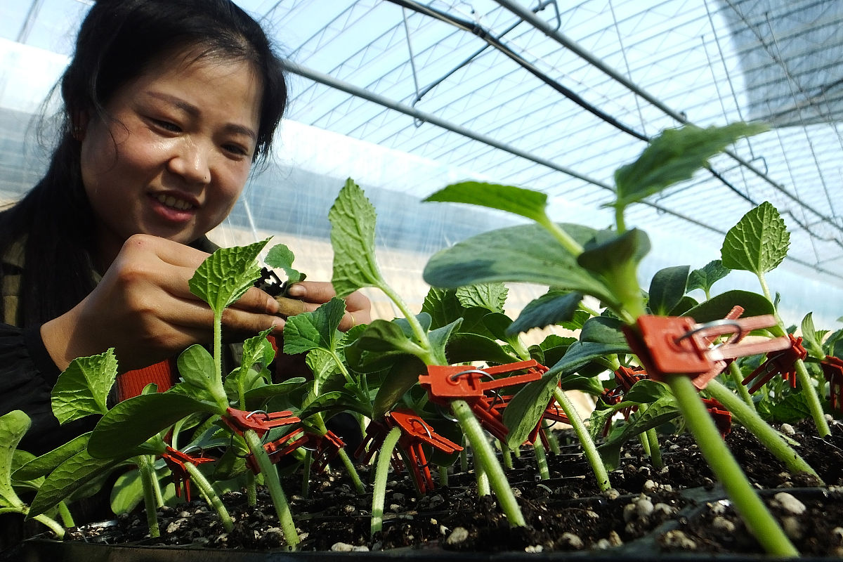 营口市农业工程学校招生简章 | 注重实践教学，培养农业技术人才