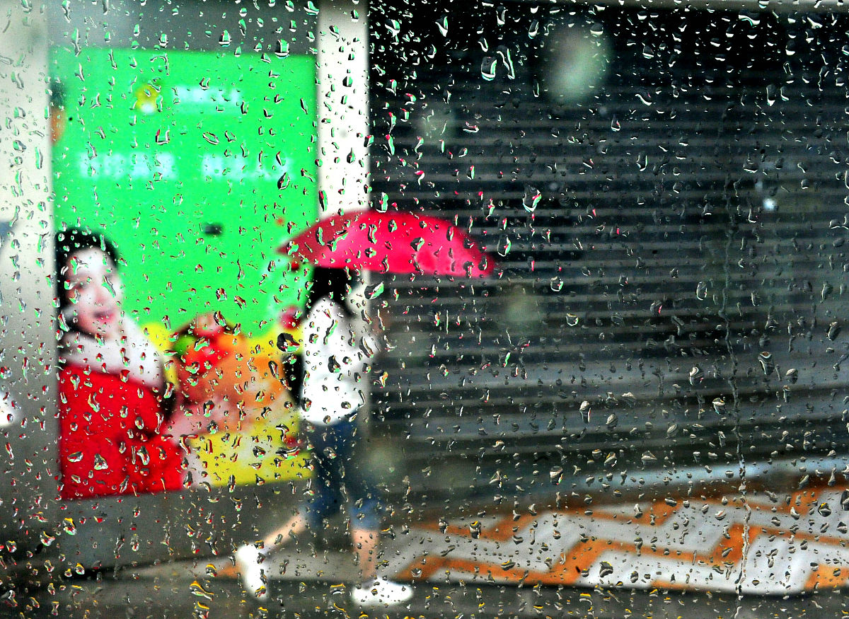雨天烦闷：一个人的窗边故事