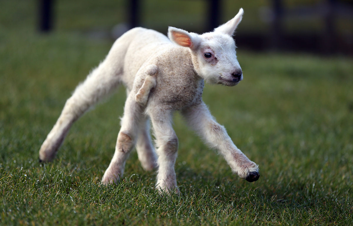概率值如何计算？详解概率值计算方法