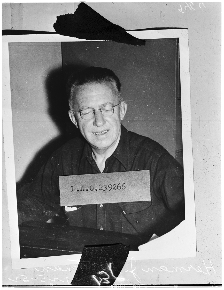 做和平年代的英雄 写一篇300字小学作文