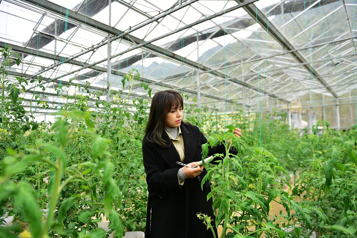 金华九峰职业学校农业经济管理专业好不好?就业前景如何?