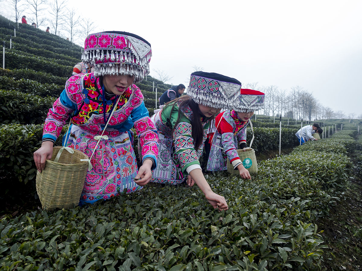 四川宜宾市公路施工总承包二级转让公司推荐
