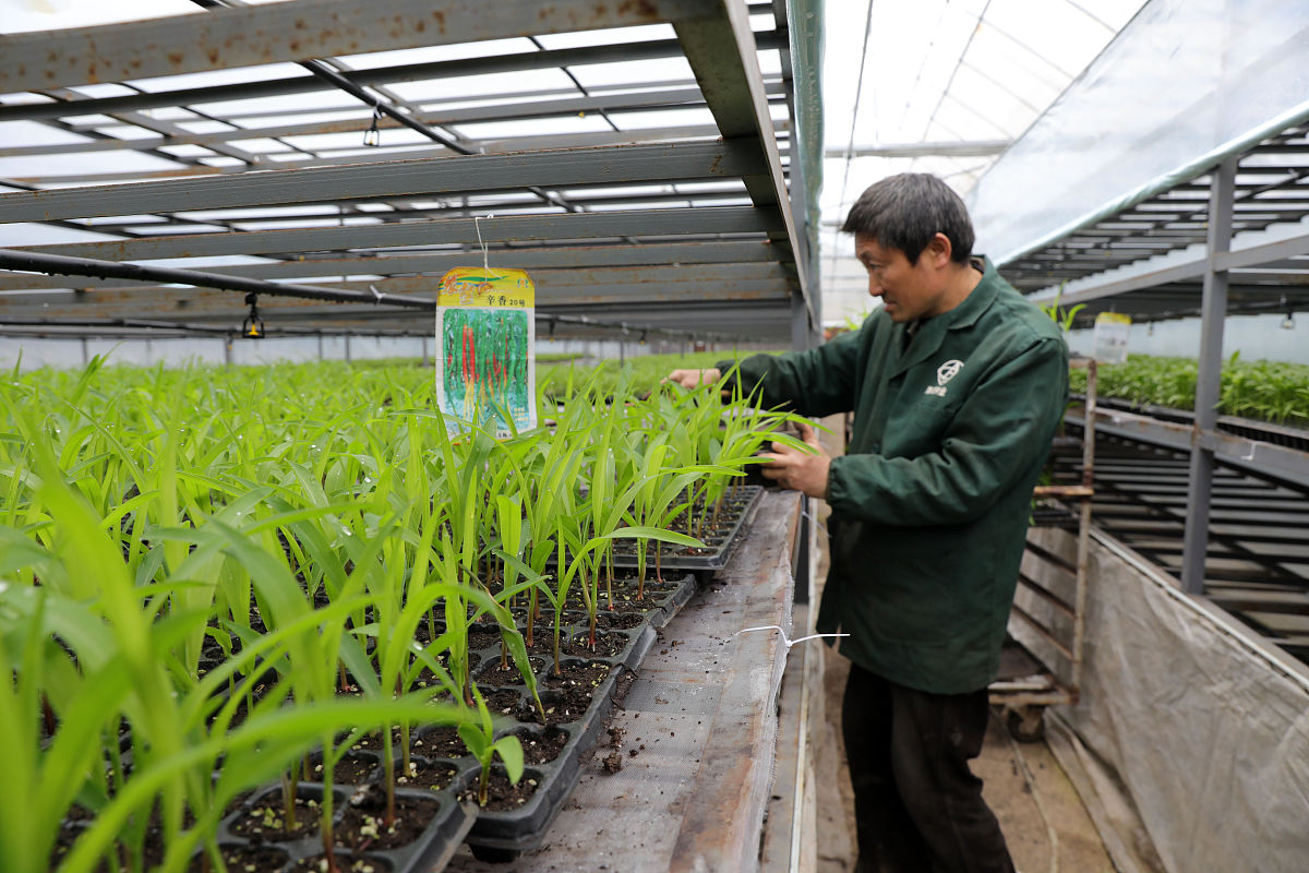 武威职业学院植物保护与检疫技术专业就业方向：农业科技创新等