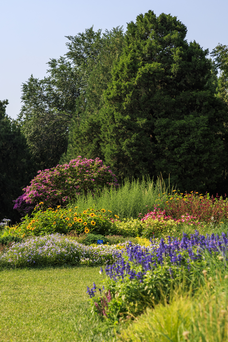 国内园林植物应用与国外区别：本土植物、用途、管理和理念 - [网站名称]