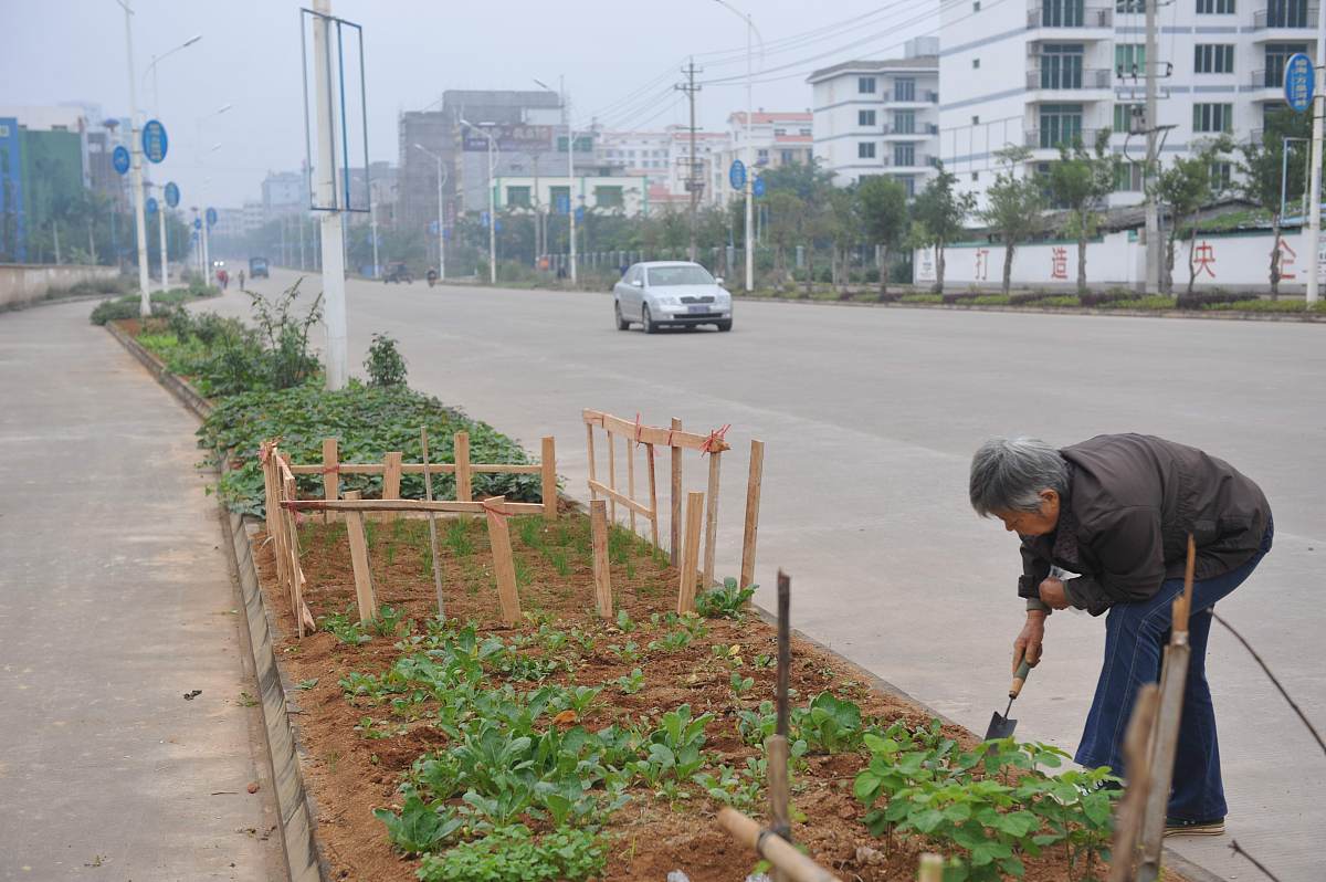 反季节种植技术在园林施工中的应用探究