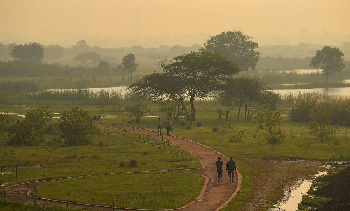 初中概率公式大全：轻松掌握概率计算